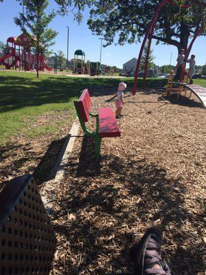 Benches & shade trees!