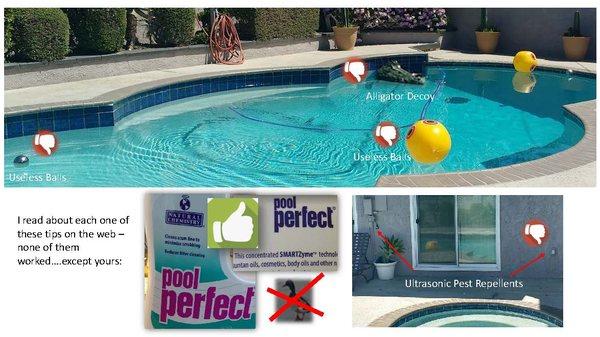 PoolPerfect with Enzymes - Keeps The Ducks Away!