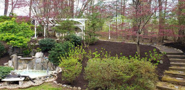 Backyard with waterfall feature.