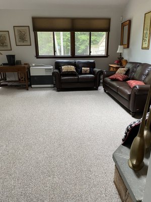 G Parenti's Professional Carpet Cleaning