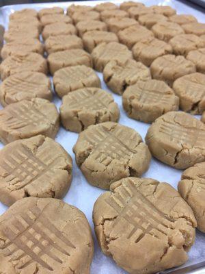 Dough Pucks - from your freezer to your oven! Peanut Butter Cookie Dough Pucks ready for the oven.