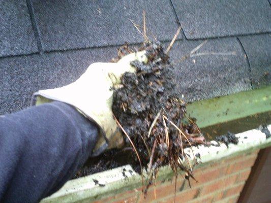 Free gutter cleaning with Full Exclusion.