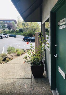 Front door entrance and parking lot.