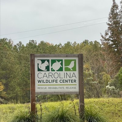 Carolina Wildlife Care