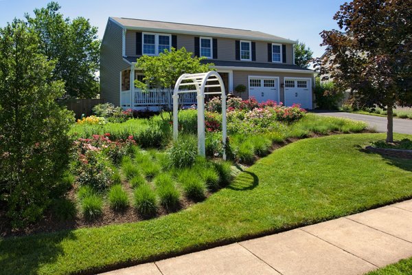 Front Yard Landscaping