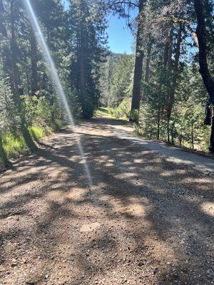 Hiking trail to creeek