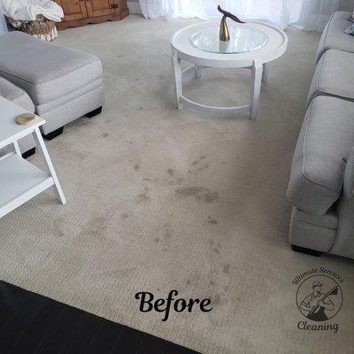 Carpet cleaning stain removal