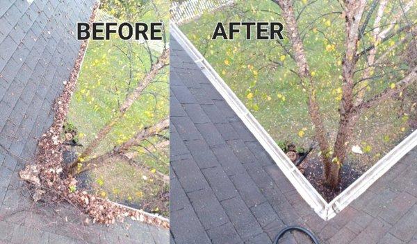 Gutter Cleaning