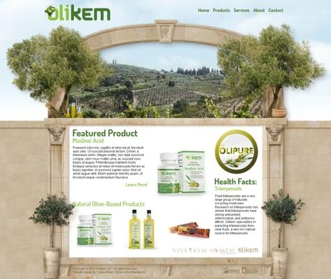 Olikem website design