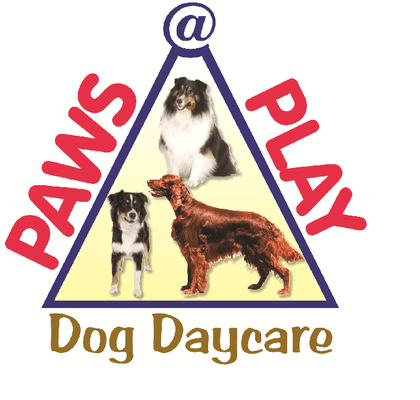 Paws @ Play Dog Daycare