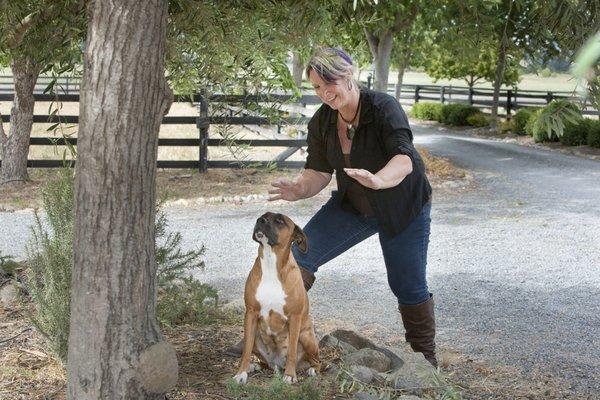 All animals love Reconnective Healing :)