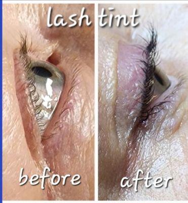 Lash Tint