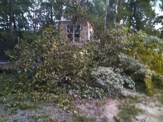 Dropped a tree 180° the wrong way on my kids playhouse.