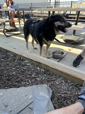 Tessy on the lower deck