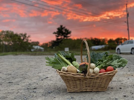 A fall CSA share at sunset!