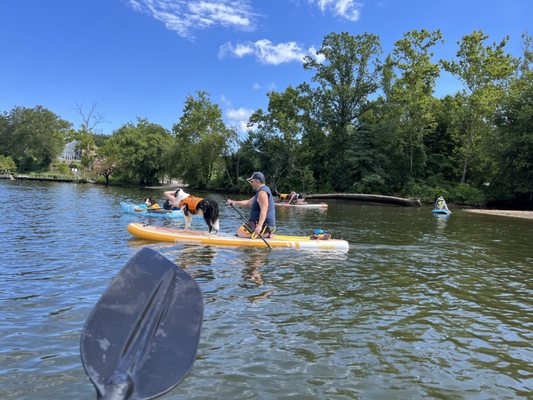 Which boat is going to win by a nose?