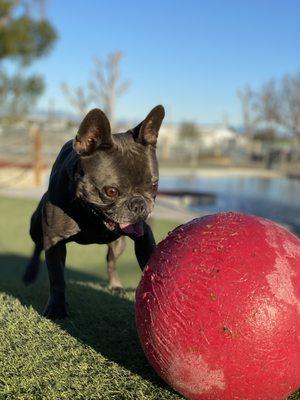 Zoies Animal Resource Center