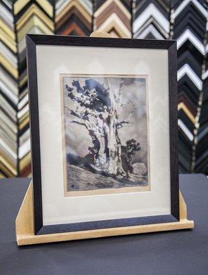 Anne Brigman silver gelatin print circa 1927 in an ebonized walnut frame