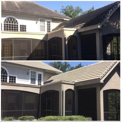 Before and After Roof Cleaning