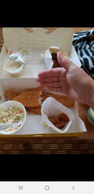 Fish filets,coleslaw,hushpuppies, and fried pickles