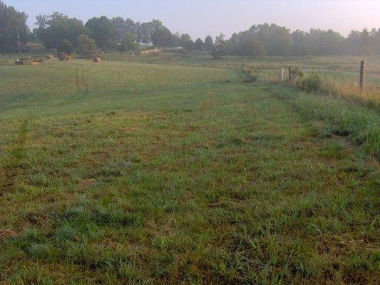 Large fields for your dog to enjoy!