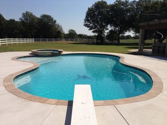 Custom Freeform Gunite Swimming Pool