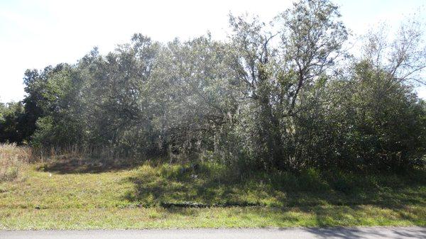 1038 CAZENOVIA ST, PORT CHARLOTTE, FL lot listed at $12,000. Corner lot, close to highways, shops, restaurants, and SW FL Beaches!