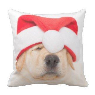 Make mom or dad a special gift for Christmas this year- a throw pillow with their best fur friend on it! We have many props available to use