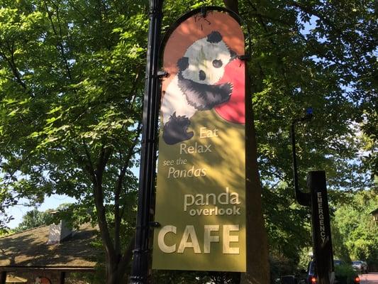 Have lunch while watching giant pandas at Panda Overlook Cafe--just off Connecticut Avenue!