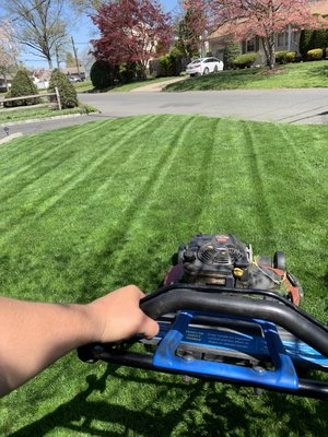 Lawn Mowing.