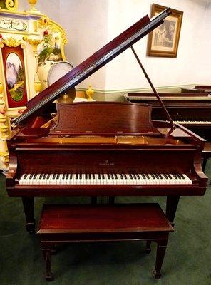 Steinway Grand Piano