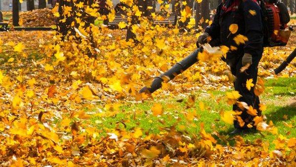 Leaf blowing