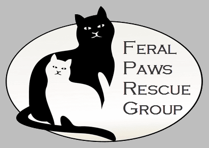 Feral Paws Rescue