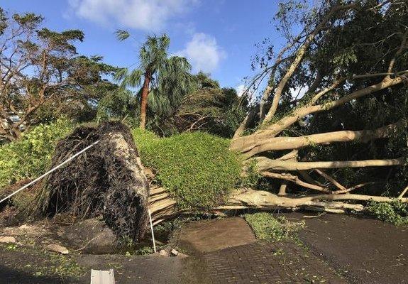 Debris breakdown and removal from hurricanes or tropical storms.