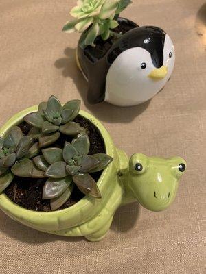 Animal Planters