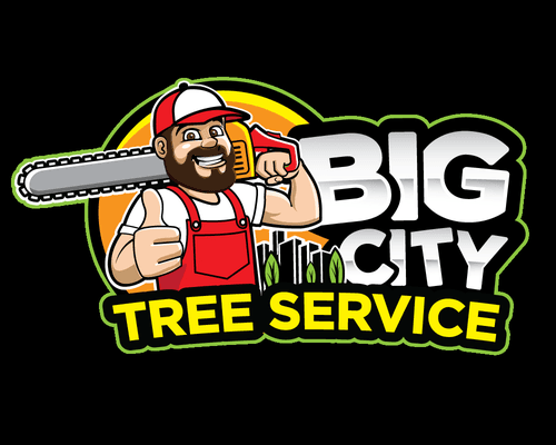 Big City Tree Service is a professional tree care company located in the heart of Jacksonville.