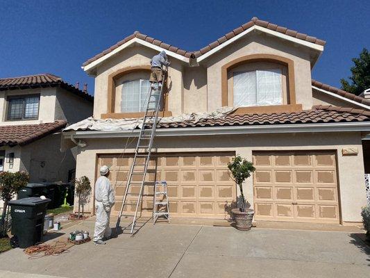 Exterior paint