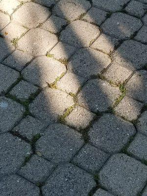 Quality work from SnS Pavers