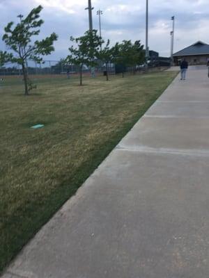 Baseball field