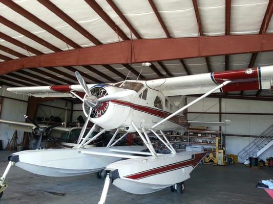 Local Beaver on Floats with Radial Engine