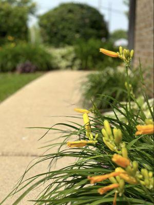 Side walkway from rear parking area.