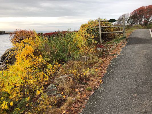 Parson's Way trail