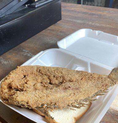 Fresh Fried Fish