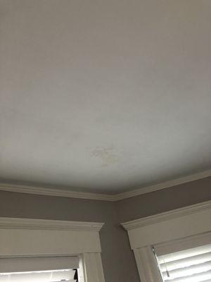 Living room ceiling leak 1