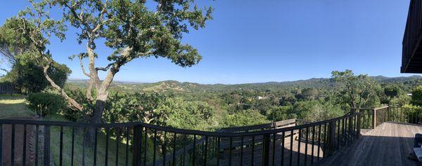 Finished view pruning in Novato