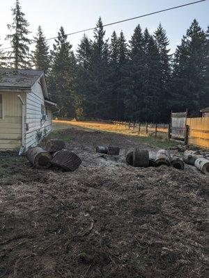 They removed this tree and the large roots that came up out of the ground.