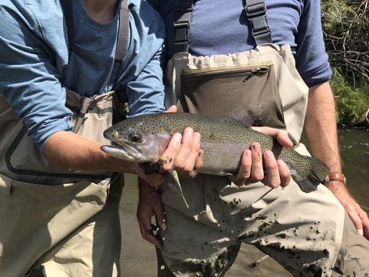 Couple of catches from our guided tour