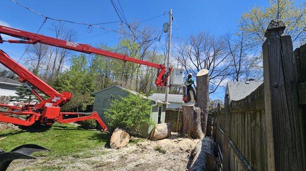 KD Tree have high quality equipment as spider lift , crane and bobcat