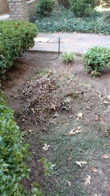 Leaf/Debris Removal