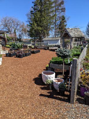 outdoor tree and shrub area